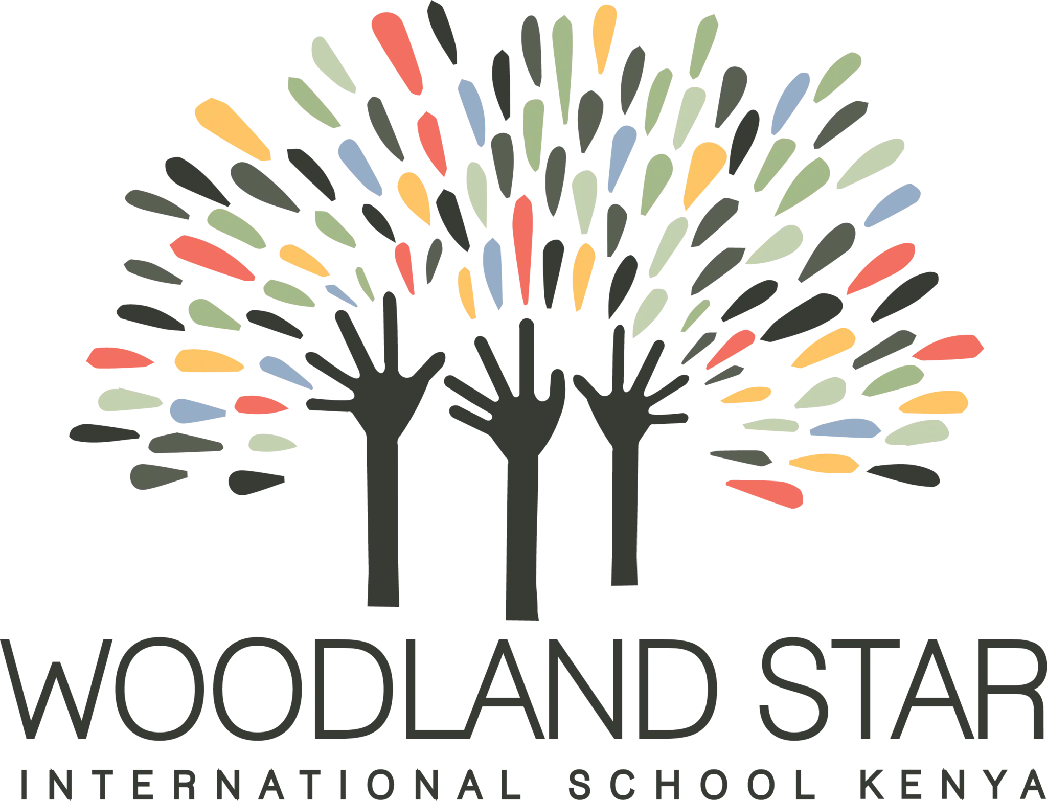 "We're Not Missing Anyone Anymore". How OpenApply Gave Woodland Star Eyes on Every Inquiry Case Studies